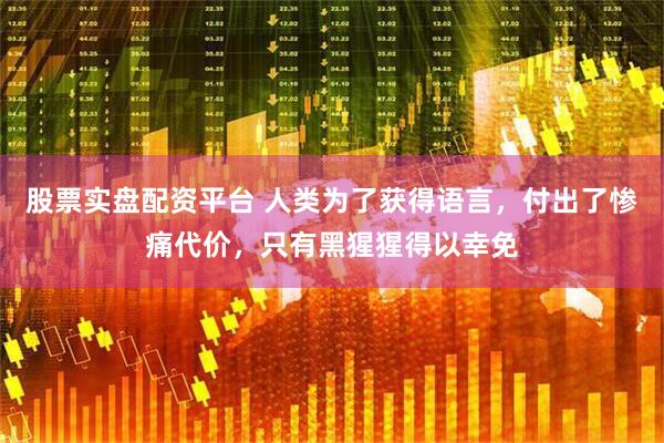 股票实盘配资平台 人类为了获得语言，付出了惨痛代价，只有黑猩猩得以幸免