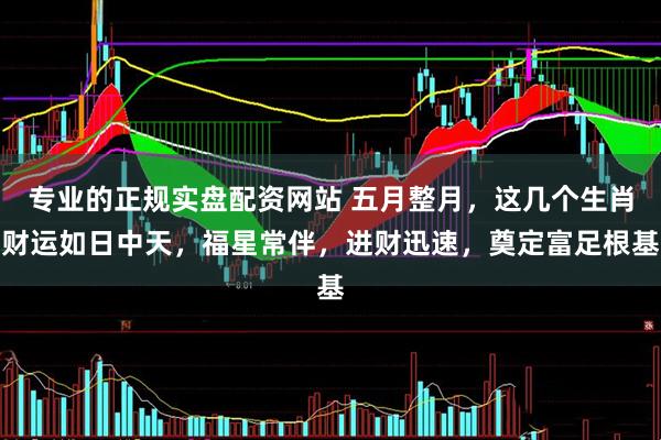 专业的正规实盘配资网站 五月整月，这几个生肖财运如日中天，福星常伴，进财迅速，奠定富足根基